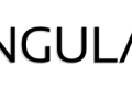 AngularJS-medium